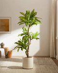 Amazon Ironwood