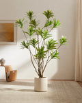Reflexa Elegance
