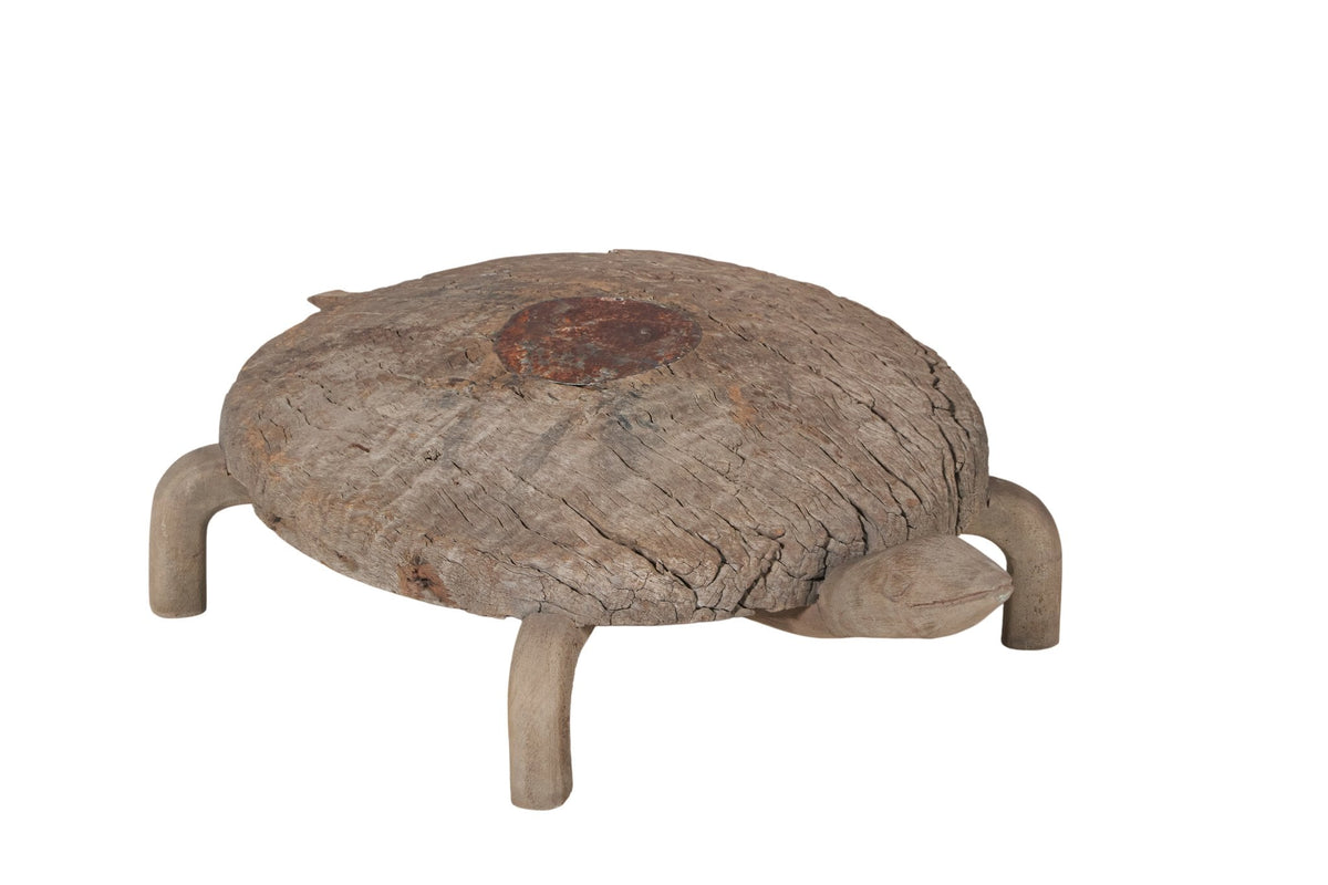Carved Wood Tortoise Bajot by Studio Vastu