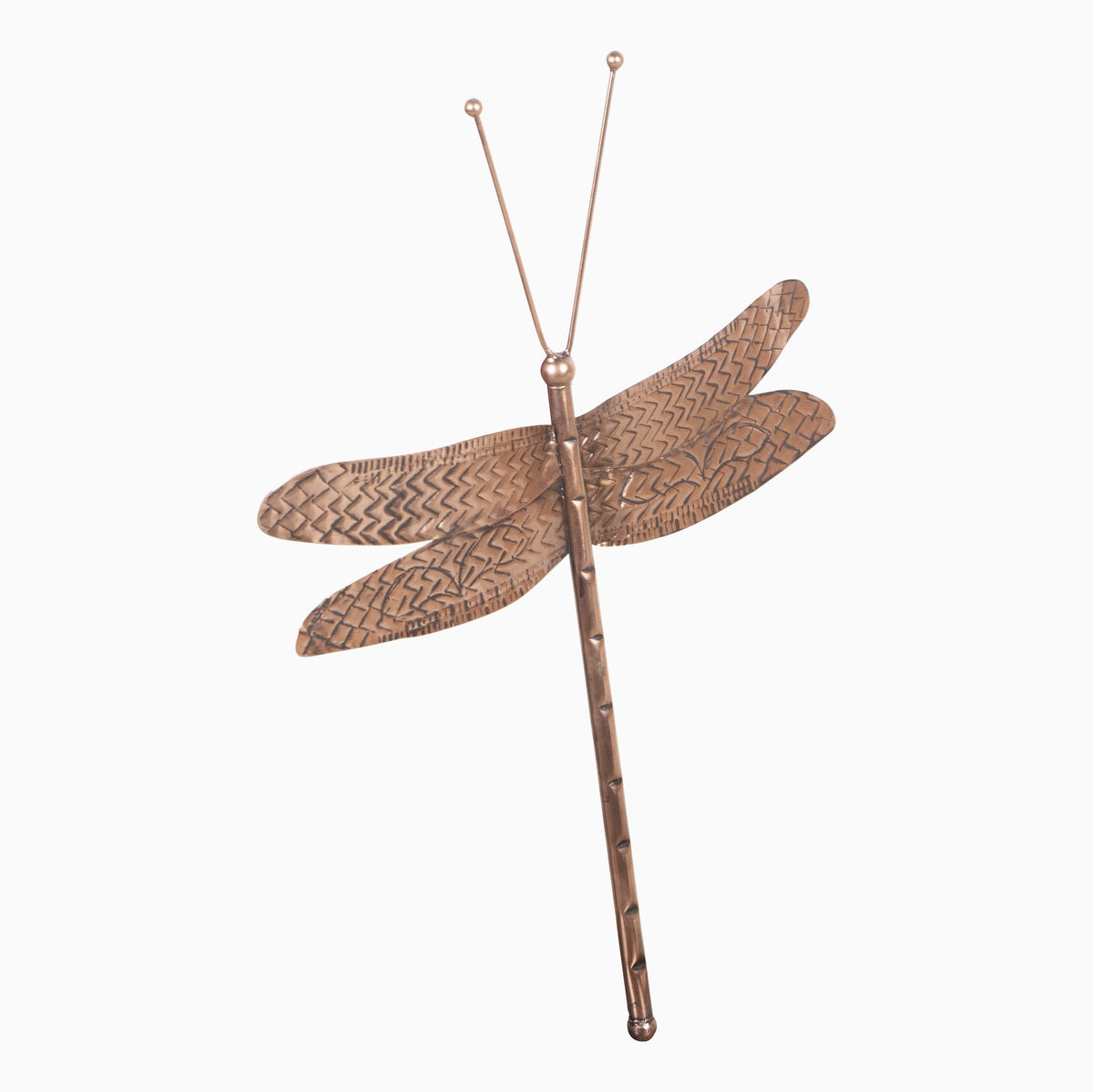 Copper-Tone Steel Dragonfly Wall Art by Studio Vastu
